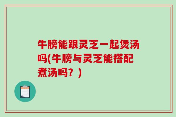 牛膀能跟灵芝一起煲汤吗(牛膀与灵芝能搭配煮汤吗?) 牛膀能跟灵芝一起煲汤吗(牛膀与灵芝能搭配煮汤吗?)