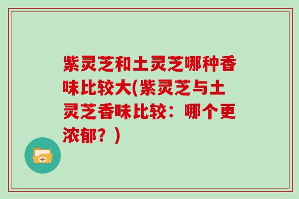 紫灵芝和土灵芝哪种香味比较大(紫灵芝与土灵芝香味比较：哪个更浓郁？)