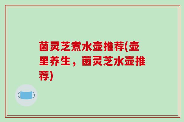 菌灵芝煮水壶推荐(壶里养生,菌灵芝水壶推荐) 菌灵芝煮水壶推荐(壶里养生,菌灵芝水壶推荐)