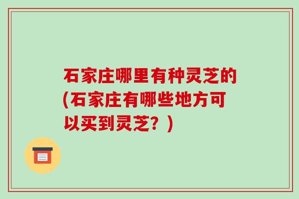 石家庄哪里有种灵芝的(石家庄有哪些地方可以买到灵芝？)