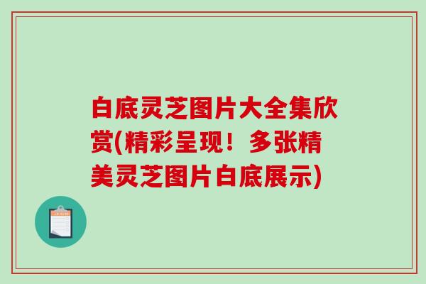 白底灵芝图片大全集欣赏(精彩呈现！多张精美灵芝图片白底展示)