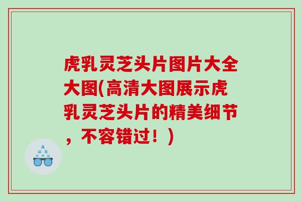 虎乳灵芝头片图片大全大图(高清大图展示虎乳灵芝头片的精美细节,不容错过!) 虎乳灵芝头片图片大全大图(高清大图展示虎乳灵芝头片的精美细节,不容错过!)