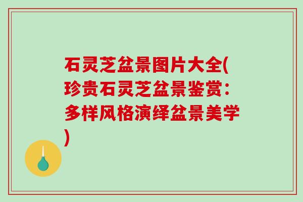 石灵芝盆景图片大全(珍贵石灵芝盆景鉴赏：多样风格演绎盆景美学)