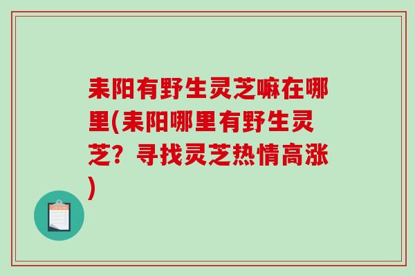 耒阳有野生灵芝嘛在哪里(耒阳哪里有野生灵芝？寻找灵芝热情高涨)