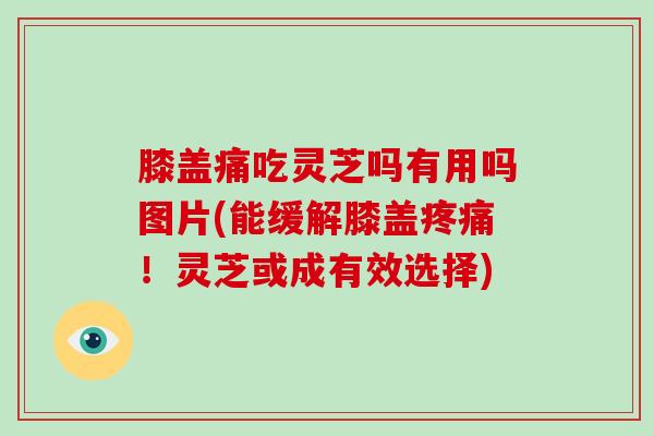 膝盖痛吃灵芝吗有用吗图片(能缓解膝盖!灵芝或成有效选择) 膝盖痛吃灵芝吗有用吗图片(能缓解膝盖!灵芝或成有效选择)