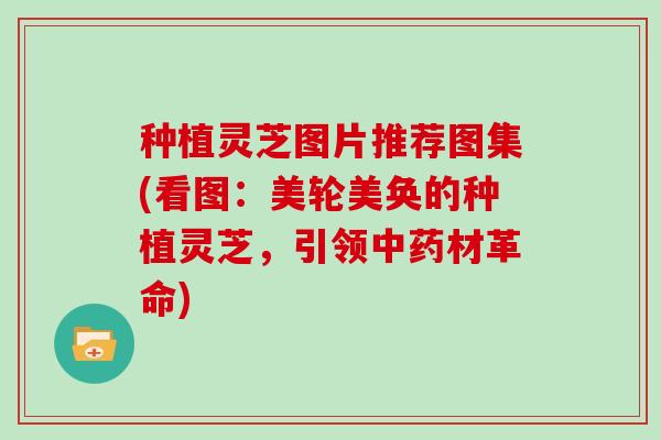 种植灵芝图片推荐图集(看图:美轮美奂的种植灵芝,引领材革命) 种植灵芝图片推荐图集(看图:美轮美奂的种植灵芝,引领材革命)