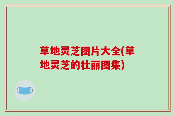 草地灵芝图片大全(草地灵芝的壮丽图集) 草地灵芝图片大全(草地灵芝的壮丽图集)