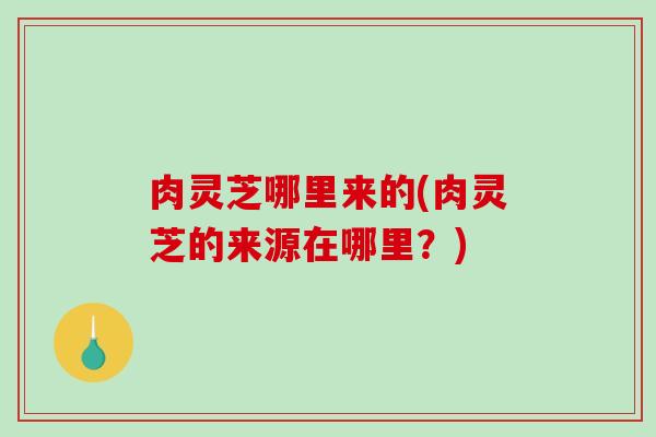 肉灵芝哪里来的(肉灵芝的来源在哪里?) 肉灵芝哪里来的(肉灵芝的来源在哪里?)