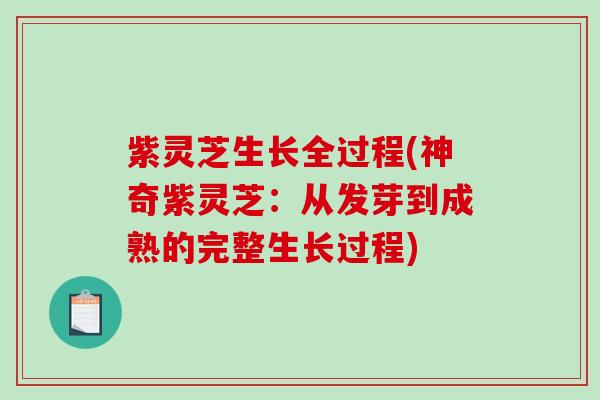 紫灵芝生长全过程(神奇紫灵芝:从发芽到成熟的完整生长过程) 紫灵芝生长全过程(神奇紫灵芝:从发芽到成熟的完整生长过程)