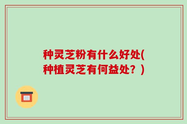 种灵芝粉有什么好处(种植灵芝有何益处?) 种灵芝粉有什么好处(种植灵芝有何益处?)