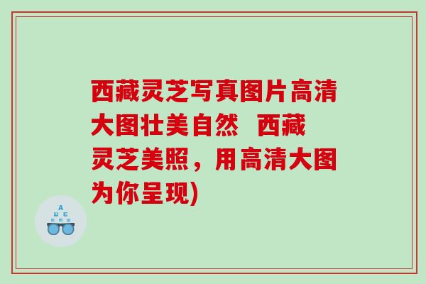 西藏灵芝写真图片高清大图壮美自然 西藏灵芝美照,用高清大图为你呈现) 西藏灵芝写真图片高清大图壮美自然 西藏灵芝美照,用高清大图为你呈现)