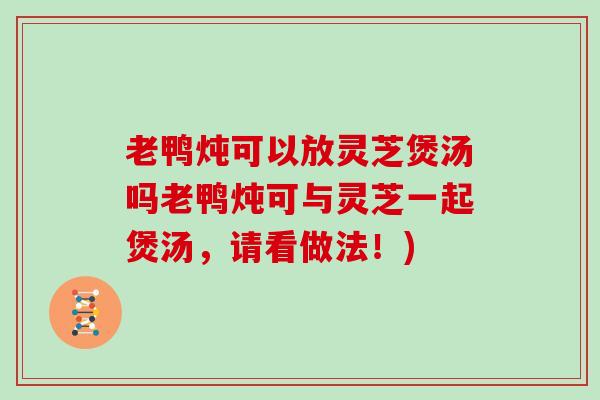 老鸭炖可以放灵芝煲汤吗老鸭炖可与灵芝一起煲汤,请看做法!) 老鸭炖可以放灵芝煲汤吗老鸭炖可与灵芝一起煲汤,请看做法!)