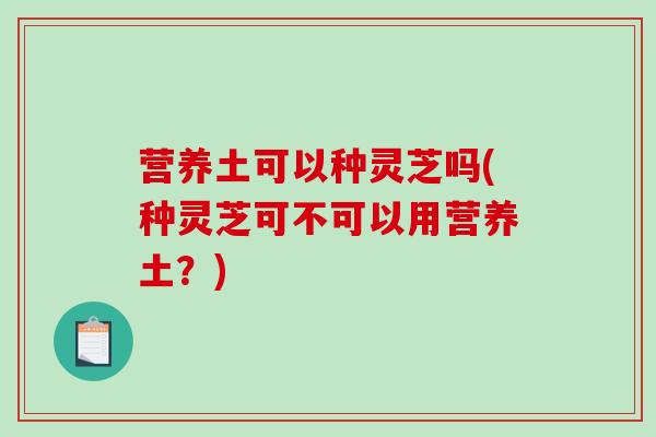 营养土可以种灵芝吗(种灵芝可不可以用营养土?) 营养土可以种灵芝吗(种灵芝可不可以用营养土?)