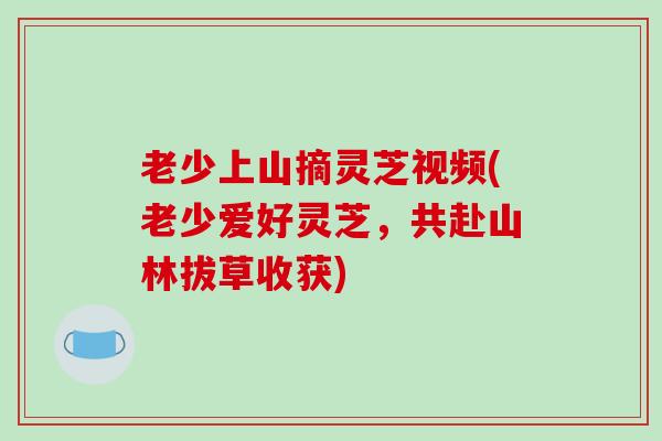 老少上山摘灵芝视频(老少爱好灵芝,共赴山林拔草收获) 老少上山摘灵芝视频(老少爱好灵芝,共赴山林拔草收获)