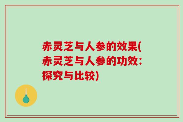 赤灵芝与人参的效果(赤灵芝与人参的功效:探究与比较) 赤灵芝与人参的效果(赤灵芝与人参的功效:探究与比较)