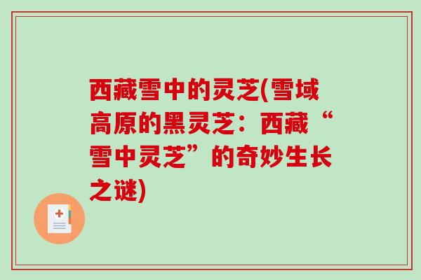西藏雪中的灵芝(雪域高原的黑灵芝:西藏“雪中灵芝”的奇妙生长之谜) 西藏雪中的灵芝(雪域高原的黑灵芝:西藏“雪中灵芝”的奇妙生长之谜)