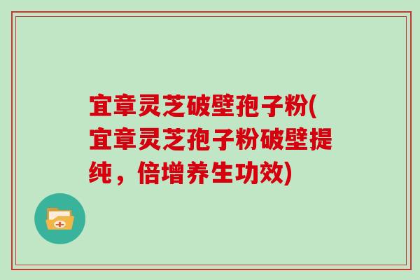宜章灵芝破壁孢子粉(宜章灵芝孢子粉破壁提纯，倍增养生功效)