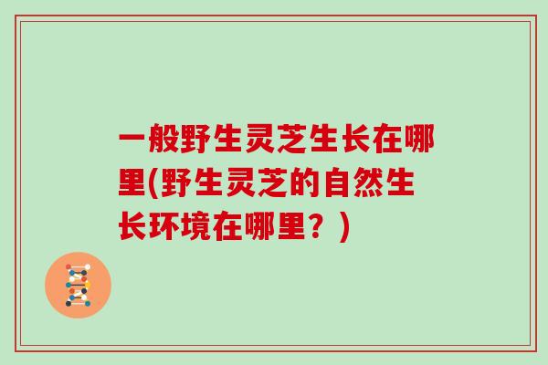 一般野生灵芝生长在哪里(野生灵芝的自然生长环境在哪里？)