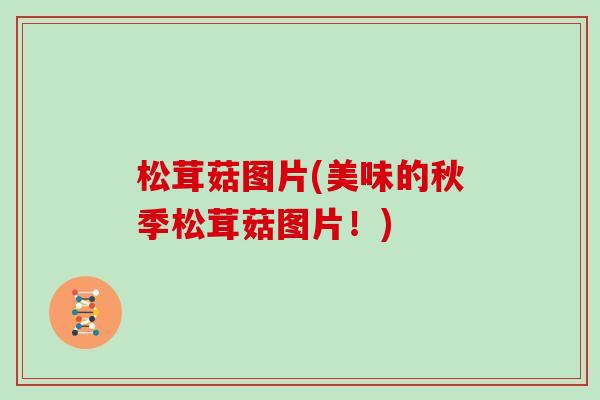 松茸菇图片(美味的秋季松茸菇图片!) 松茸菇图片(美味的秋季松茸菇图片!)