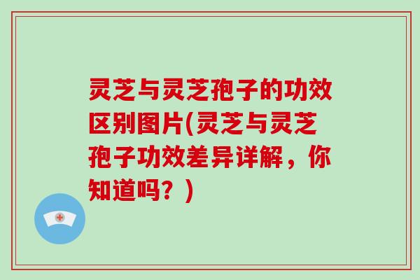 灵芝与灵芝孢子的功效区别图片(灵芝与灵芝孢子功效差异详解，你知道吗？)