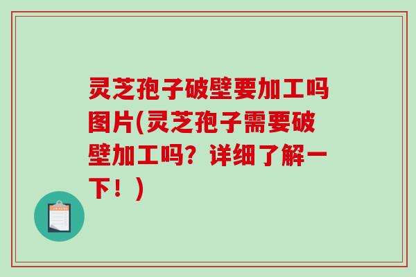 灵芝孢子破壁要加工吗图片(灵芝孢子需要破壁加工吗?详细了解一下!) 灵芝孢子破壁要加工吗图片(灵芝孢子需要破壁加工吗?详细了解一下!)