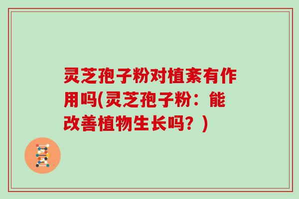 灵芝孢子粉对植紊有作用吗(灵芝孢子粉：能改善植物生长吗？)