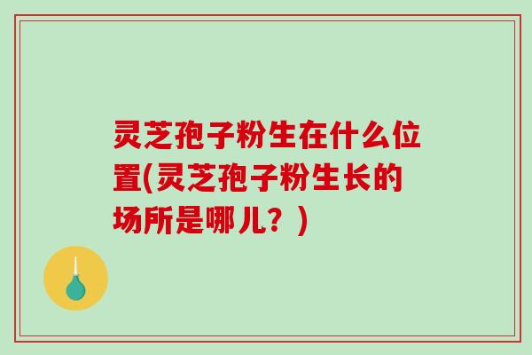 灵芝孢子粉生在什么位置(灵芝孢子粉生长的场所是哪儿?) 灵芝孢子粉生在什么位置(灵芝孢子粉生长的场所是哪儿?)