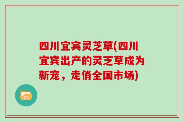 四川宜宾灵芝草(四川宜宾出产的灵芝草成为新宠,走俏全国市场) 四川宜宾灵芝草(四川宜宾出产的灵芝草成为新宠,走俏全国市场)