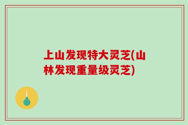 上山发现特大灵芝(山林发现重量级灵芝)