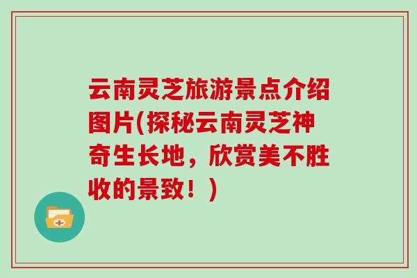 云南灵芝旅游景点介绍图片(探秘云南灵芝神奇生长地，欣赏美不胜收的景致！)