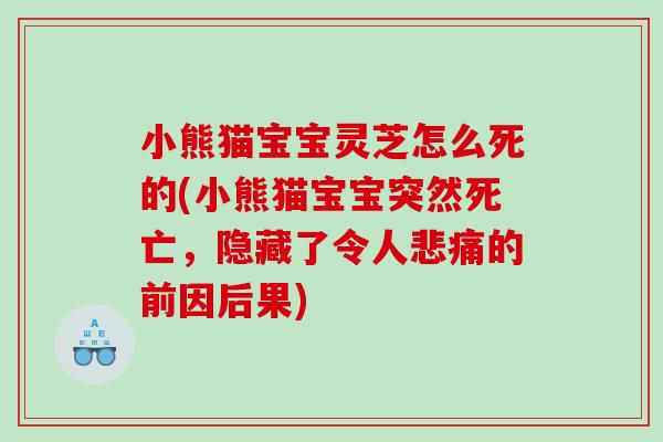 小熊猫宝宝灵芝怎么死的(小熊猫宝宝突然死亡，隐藏了令人悲痛的前因后果)