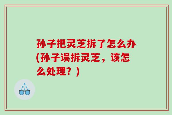 孙子把灵芝拆了怎么办(孙子误拆灵芝,该怎么处理?) 孙子把灵芝拆了怎么办(孙子误拆灵芝,该怎么处理?)