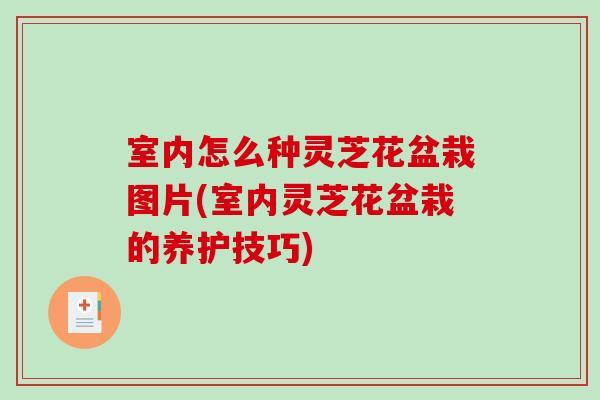 室内怎么种灵芝花盆栽图片(室内灵芝花盆栽的养护技巧)