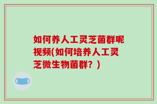 如何养人工灵芝菌群呢视频(如何培养人工灵芝微生物菌群?) 如何养人工灵芝菌群呢视频(如何培养人工灵芝微生物菌群?)