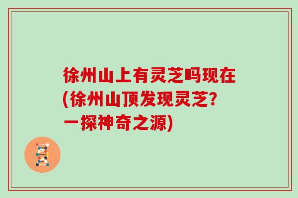 徐州山上有灵芝吗现在(徐州山顶发现灵芝?一探神奇之源) 徐州山上有灵芝吗现在(徐州山顶发现灵芝?一探神奇之源)