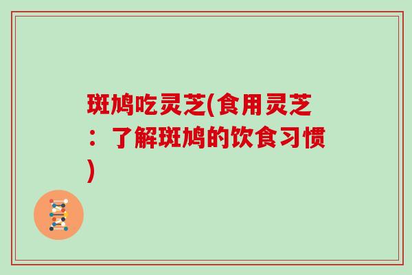 斑鸠吃灵芝(食用灵芝：了解斑鸠的饮食习惯)