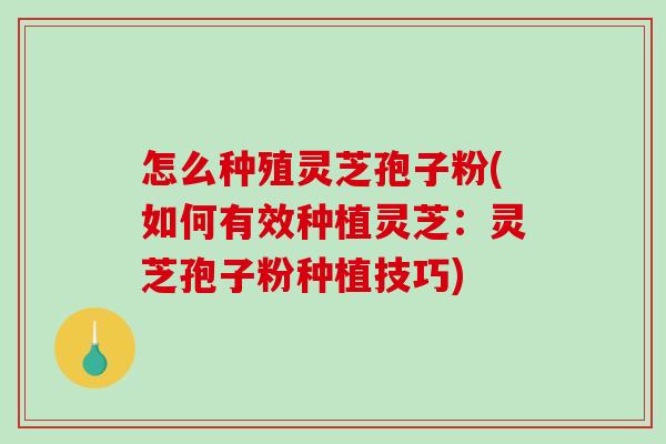 怎么种殖灵芝孢子粉(如何有效种植灵芝:灵芝孢子粉种植技巧) 怎么种殖灵芝孢子粉(如何有效种植灵芝:灵芝孢子粉种植技巧)