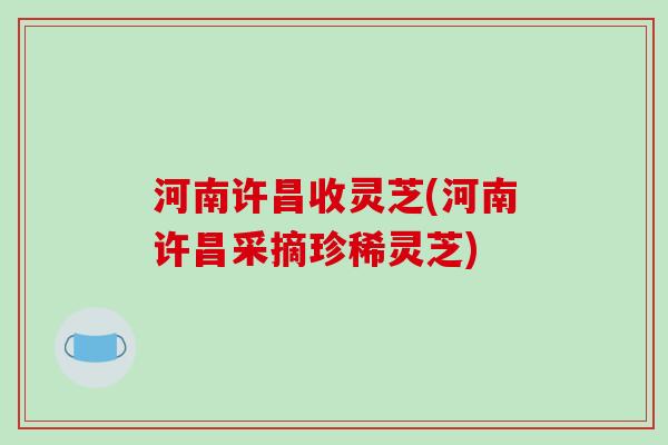河南许昌收灵芝(河南许昌采摘珍稀灵芝) 河南许昌收灵芝(河南许昌采摘珍稀灵芝)