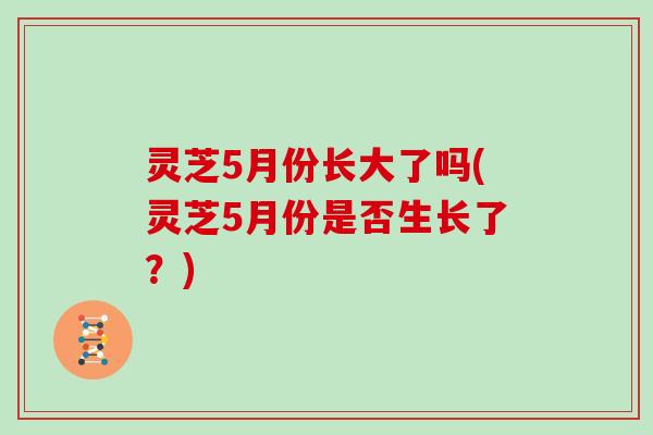 灵芝5月份长大了吗(灵芝5月份是否生长了？)