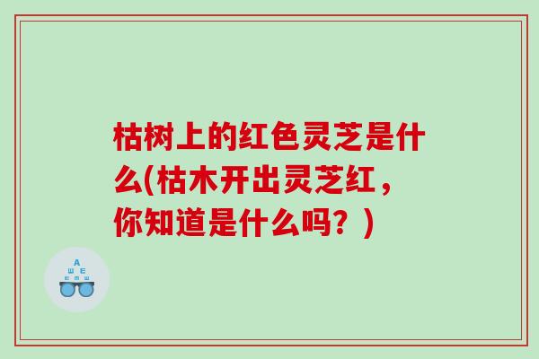 枯树上的红色灵芝是什么(枯木开出灵芝红,你知道是什么吗?) 枯树上的红色灵芝是什么(枯木开出灵芝红,你知道是什么吗?)