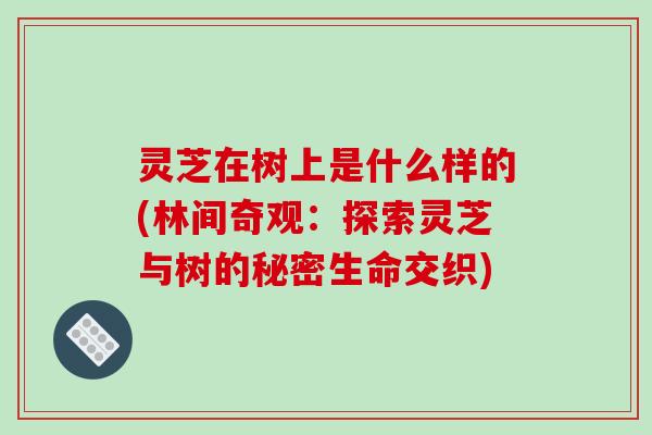 灵芝在树上是什么样的(林间奇观:探索灵芝与树的秘密生命交织) 灵芝在树上是什么样的(林间奇观:探索灵芝与树的秘密生命交织)
