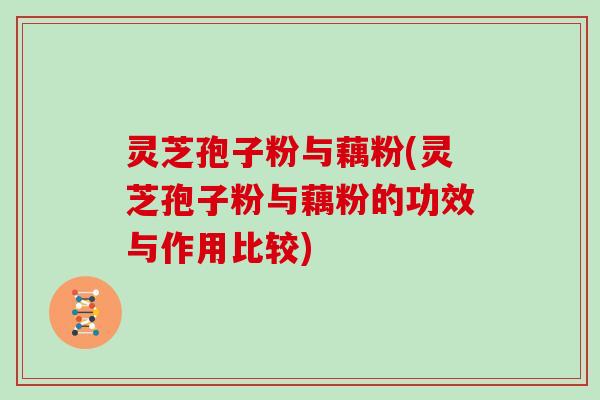 灵芝孢子粉与藕粉(灵芝孢子粉与藕粉的功效与作用比较) 灵芝孢子粉与藕粉(灵芝孢子粉与藕粉的功效与作用比较)