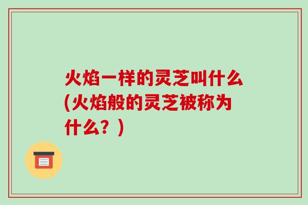 火焰一样的灵芝叫什么(火焰般的灵芝被称为什么？)