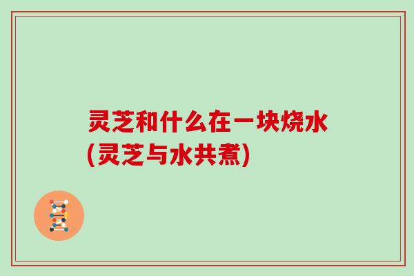 灵芝和什么在一块烧水(灵芝与水共煮)