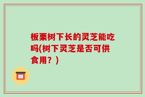 板栗树下长的灵芝能吃吗(树下灵芝是否可供食用?) 板栗树下长的灵芝能吃吗(树下灵芝是否可供食用?)