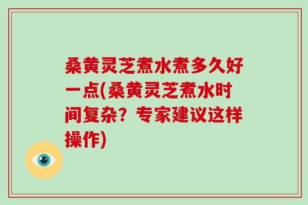 桑黄灵芝煮水煮多久好一点(桑黄灵芝煮水时间复杂？专家建议这样操作)