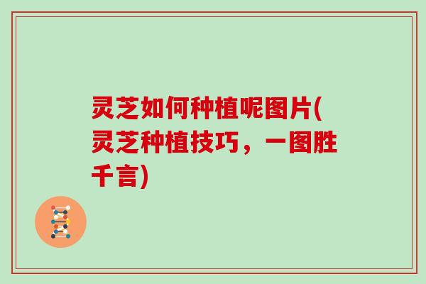 灵芝如何种植呢图片(灵芝种植技巧，一图胜千言)