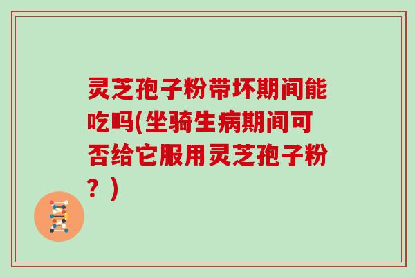 灵芝孢子粉带坏期间能吃吗(坐骑生期间可否给它服用灵芝孢子粉？)