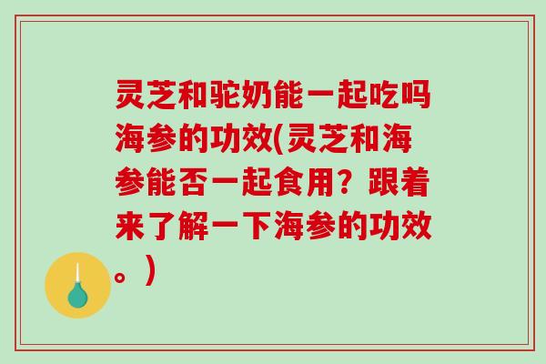 灵芝和驼奶能一起吃吗海参的功效(灵芝和海参能否一起食用?跟着来了解一下海参的功效。) 灵芝和驼奶能一起吃吗海参的功效(灵芝和海参能否一起食用?跟着来了解一下海参的功效。)