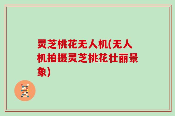 灵芝桃花无人机(无人机拍摄灵芝桃花壮丽景象) 灵芝桃花无人机(无人机拍摄灵芝桃花壮丽景象)